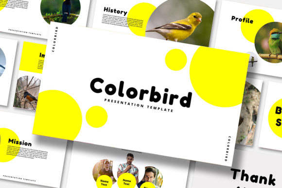 Color Bird PowerPoint Template